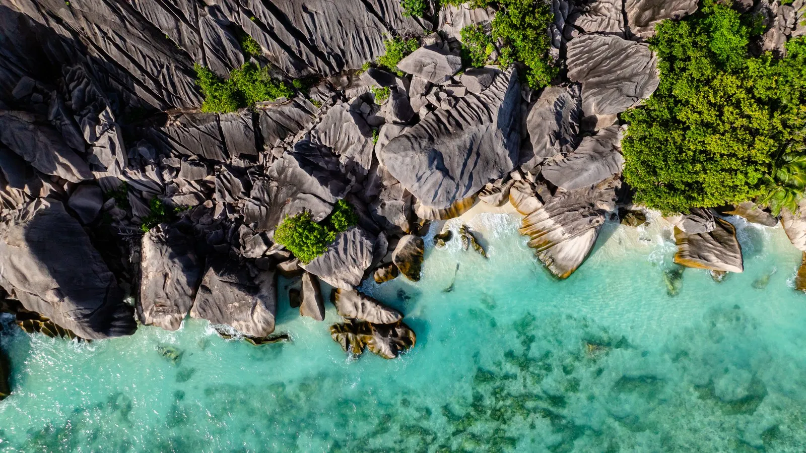 Côte rocheuse de La Digue avec rochers granitiques et végétation tropicale