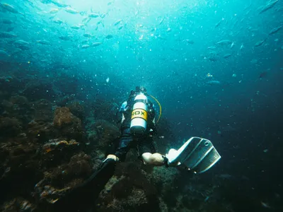 Plongeur explorant un récif corallien