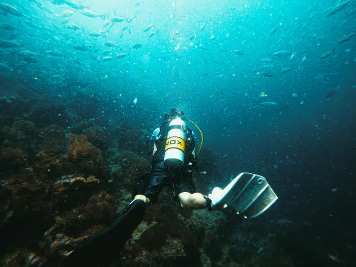 Plongeur explorant un récif corallien