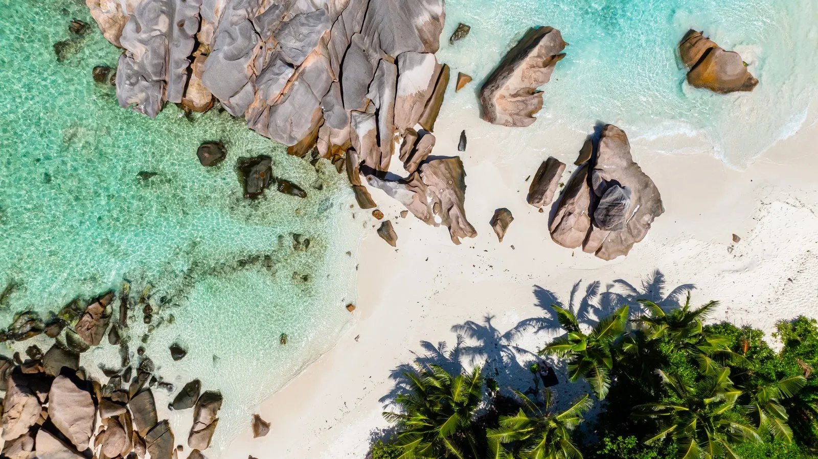 Plage de sable blanc bordée de cocotiers à La Digue, Seychelles
