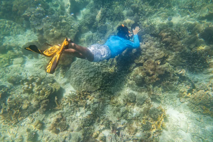 Snorkeling dans les eaux turquoise des Seychelles